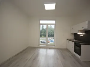 Pronájem bytu 1+kk, Milovice - Mladá, Slepá, 35 m2