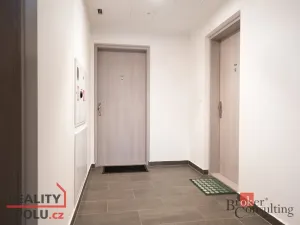 Pronájem bytu 2+kk, Praha - Hloubětín, Domalípova, 66 m2