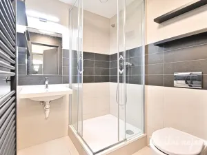 Pronájem bytu 1+1, Hovorčovice, U Špýcharu, 24 m2