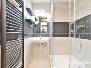 Pronájem bytu 1+1, Hovorčovice, U Špýcharu, 24 m2