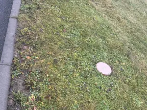 Prodej zahrady, Náklo - Lhota nad Moravou, 341 m2