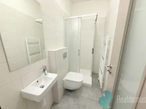 Pronájem bytu 1+1, České Budějovice - České Budějovice 5, Prašná, 28 m2