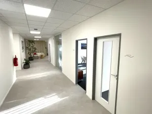 Pronájem kanceláře, Praha - Holešovice, Dělnická, 1252 m2