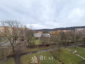 Pronájem bytu 2+1, Chomutov, Holešická, 62 m2