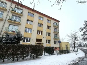 Pronájem bytu 1+1, Most, W. A. Mozarta, 39 m2