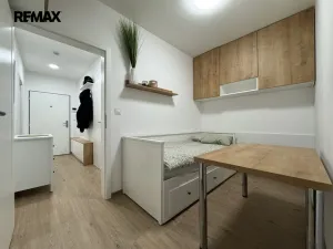 Pronájem bytu 1+kk, Olomouc, Camilla Sitteho, 31 m2