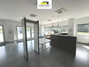 Pronájem výrobních prostor, Ostrov - Dolní Žďár, 4753 m2
