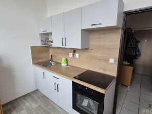 Prodej bytu 1+1, Břeclav - Charvátská Nová Ves, Na Valtické, 41 m2