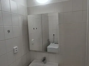 Prodej bytu 1+1, Břeclav - Charvátská Nová Ves, Na Valtické, 41 m2