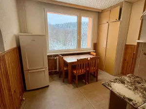 Pronájem bytu 3+1, Jirkov, Pionýrů, 66 m2