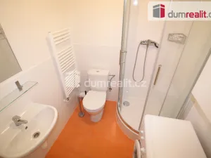 Pronájem bytu 1+kk, Praha - Smíchov, Svornosti, 25 m2