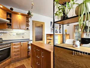 Prodej bytu 2+kk, Písek, Zátavské nábř., 46 m2