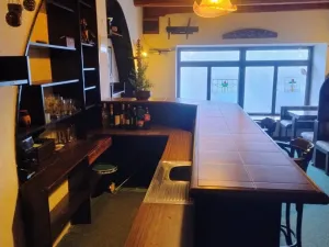 Prodej restaurace, Budišov nad Budišovkou, náměstí Republiky, 510 m2