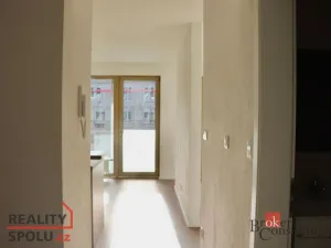 Pronájem bytu 1+kk, Plzeň - Východní Předměstí, Zahradní, 45 m2