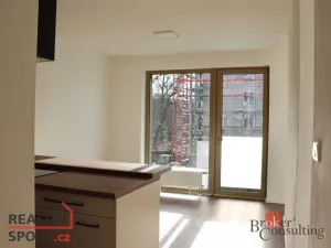 Pronájem bytu 1+kk, Plzeň - Východní Předměstí, Zahradní, 45 m2