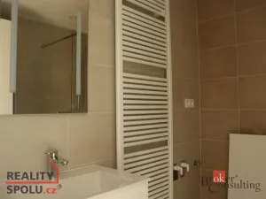 Pronájem bytu 1+kk, Plzeň - Východní Předměstí, Zahradní, 45 m2