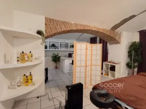 Pronájem bytu 2+kk, Praha - Holešovice, Jirečkova, 60 m2