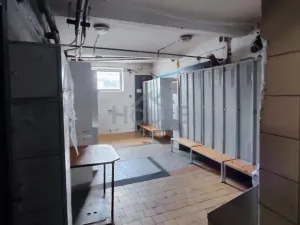 Prodej výrobních prostor, Přelouč, Sportovní, 4222 m2