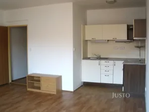 Pronájem bytu 1+kk, Písek, Budějovická, 35 m2