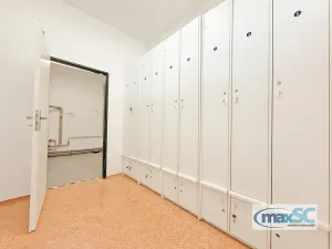 Prodej skladu, Říčany, Technická, 4150 m2