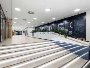 Pronájem obchodního prostoru, Praha, Sokolovská, 363 m2