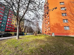 Prodej bytu 1+1, Orlová, Lesní, 37 m2