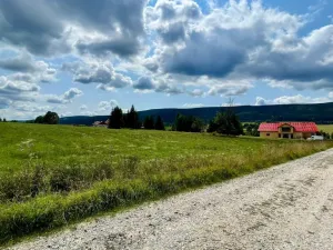 Prodej pozemku pro bydlení, Orlické Záhoří, 3067 m2