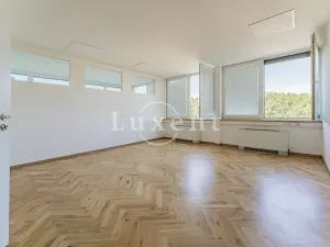 Pronájem kanceláře, Praha - Košíře, Jinonická, 257 m2