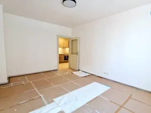 Pronájem bytu 2+kk, Praha - Žižkov, Jana Želivského, 60 m2
