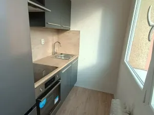 Prodej bytu 1+1, Most, K. H. Borovského, 21 m2