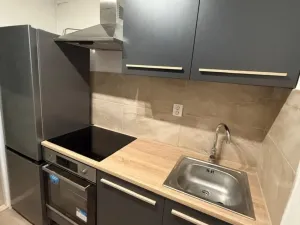 Prodej bytu 1+1, Most, K. H. Borovského, 21 m2