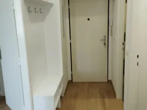 Pronájem bytu 1+1, Praha - Nusle, U družstva Repo, 37 m2