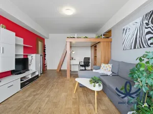 Pronájem bytu 1+1, Mladá Boleslav, Jana Palacha, 40 m2