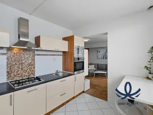 Pronájem bytu 1+1, Mladá Boleslav, Jana Palacha, 40 m2