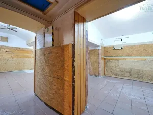 Prodej bytu 4+kk, Plzeň, Nerudova, 134 m2