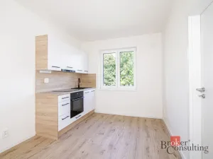 Prodej bytu 1+1, Ostrava - Mariánské Hory, Cottonové, 37 m2