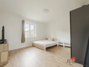 Prodej bytu 1+1, Ostrava - Mariánské Hory, Cottonové, 37 m2