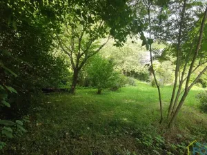 Prodej pozemku pro bydlení, Vysoké Mýto, Vinice, 1447 m2