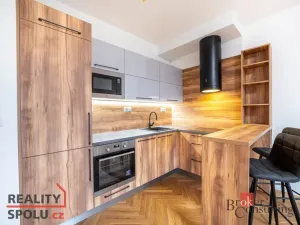 Pronájem bytu 2+kk, Brno - Staré Brno, Nové sady, 59 m2