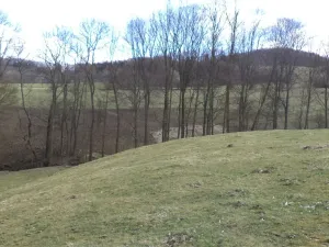 Prodej pole, Heřmanov - Fojtovice, 4633 m2