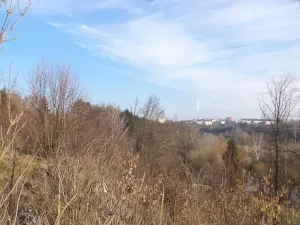 Dražba louky, Tábor, 1007 m2