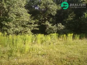 Prodej zahrady, Krňany - Třebsín, 679 m2