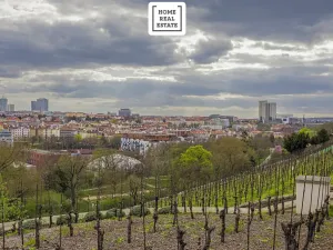 Prodej bytu 3+kk, Praha - Vršovice, Francouzská, 95 m2