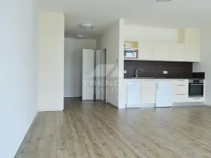 Pronájem bytu 1+kk, Plzeň, Na Roudné, 50 m2