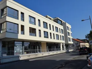 Pronájem bytu 1+kk, Plzeň, Na Roudné, 50 m2