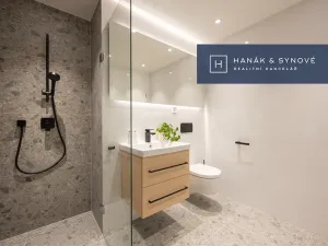 Pronájem bytu 1+kk, Brno, Cejl, 27 m2