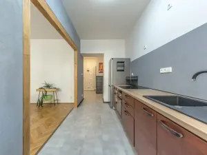 Prodej bytu 1+1, Praha - Podolí, Nedvědovo náměstí, 37 m2