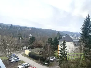 Pronájem bytu 1+kk, Dobřichovice, Anežky České, 30 m2