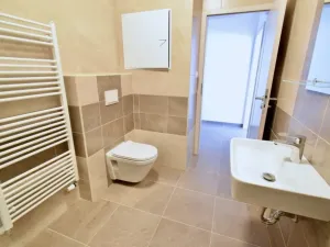 Pronájem bytu 1+kk, Brno - Žebětín, Přírodní, 32 m2