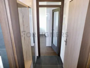 Pronájem bytu 1+kk, Plzeň, Pallova, 29 m2